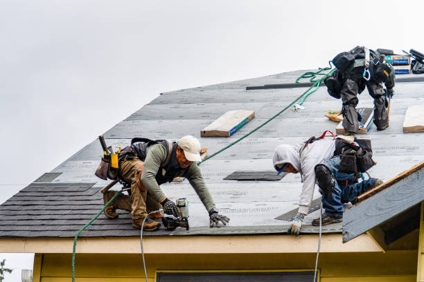 Professional Flat Roof Repair technician working in Lewiston, CA